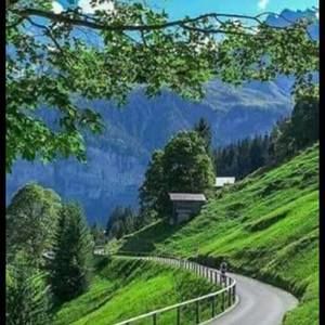 Meet your Posher, Rene